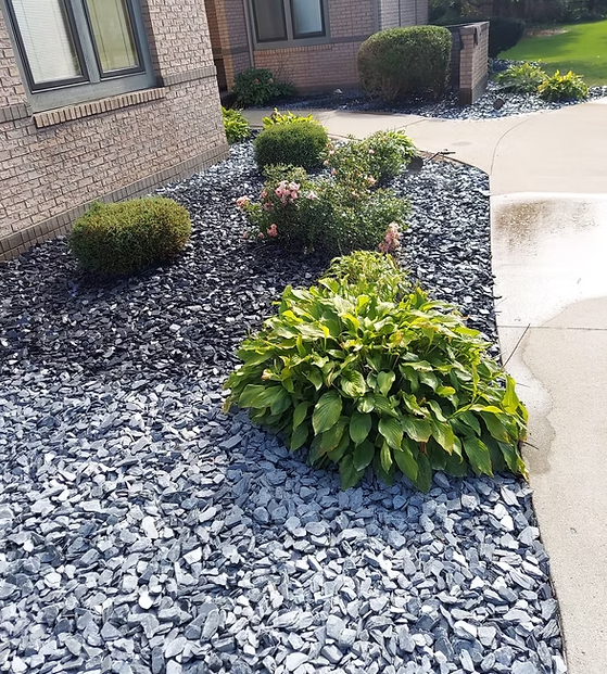 Decorative rock landscaping with hostas and shrubs